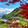 leilaa12356