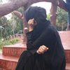 rimsha_194