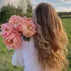 gonae24
