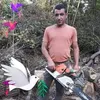 jzsef.zagyi