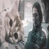 meow_kat.123