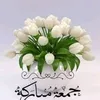 sawsan12360