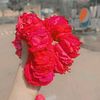anamshehzadishe84