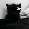 قَـرة عَـيـن الـزهـَراءރ