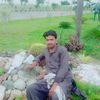 saad.ullah6281
