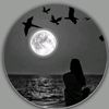 mayar28121