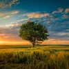 beautifulnature697