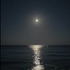 alajm084