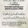 gazelleblanche13