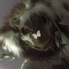 kaish_the_doggie