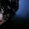 izakivillaron9