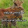 hamidmohammadi8560