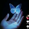 nuray__135
