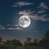 azoz.ahmeed31