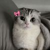 lolee12382