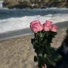 marammahmood604