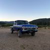 littleshep32