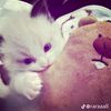 itz.me_jeiyon