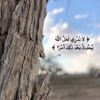 hoba_055