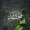 .heba863