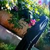 rimas_756