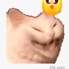 bulonem49