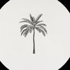 vip_w50