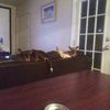 istopfordogs3