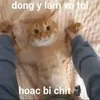 nopeter18
