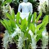 mi.khin.lay9618
