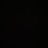 rosa_spamm740