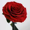 loverboycharles07