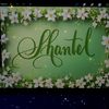 shanteldunn344