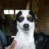 emiliohere_0