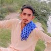 bajwa4229