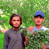 fazalrh.jaan