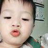 dipa_877