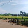 abil55556