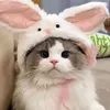 cattrend20