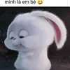 cam.anh.ha