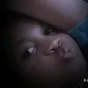 shrfh.mr