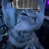 vladfffffccc