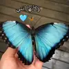 user44331061131384