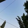 r.name22
