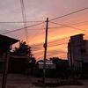 serene.vibes4