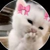 kila_cute3