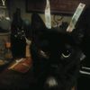 mrtanisaw670