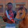 gonde007