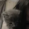 ангельская 🕊️