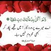 hassan333214